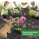 UNIFAMILY 12 Pcs Plant Protectors from Animals, 16x12IN Metal Plant Cage to Keep Animals Out, 4 Pack Garden Protector Cage from Deer, Garden Protection for Vegetables Chicken Wire Cage for Plants