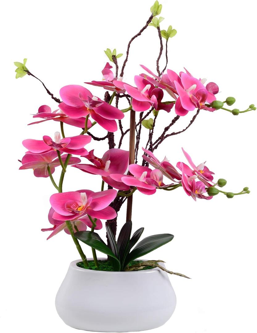 W&W Artificial Orchid Plants and Flowers with Vase, Fake Faux Orchid in Ceramic Pot,17, Fuchsia