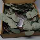 LITBLOOM Lighted Eucalyptus Garland Battery Operated with Timer 6FT 96 LED Artificial Greenery Twig Vine Lights for Room Stairs Mantle Wedding Holiday Decoration Indoor Outdoor