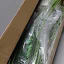 4ft 2pcs Large Artificial Plants Fake Palm Tree Tropical Palm Leaves Faux Palm Plants Tall Tree Indoor Real Touch Plastic Monstera Leaves for Home Garden Outdoor Office Decor (4ft/125cm-2pcs)