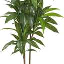Nearly Natural 48in Artificial Dracaena Plant with Real Touch Leaves and Multi Tonal Trunks, Large Indoor Faux Tree for Living Room and Office Decor