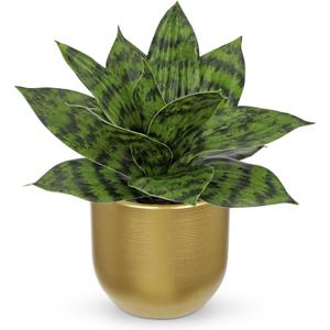 Hollyone Artificial Snake Plants 9" Faux Agave Succulent Plant Potted in Gold Pot Fake Sansevieria Aloe Tropical Plant for Desk Modern Office Home Bathroom Indoor Outdoor Decor