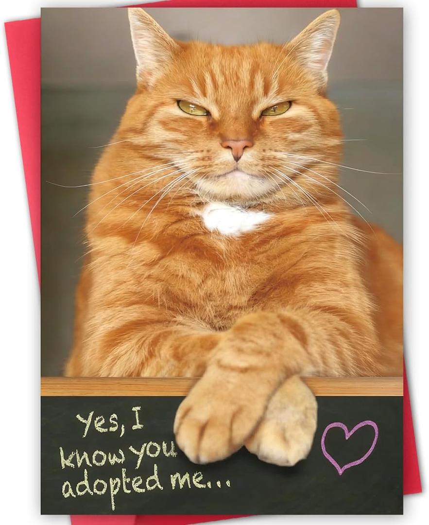 16 x Funny Dad Fathers Day Card from Cat, Humor Cat Dad Gifts on Father's Day, Gift for Pet Cats Lover