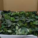 Ling's Moment 9FT Flower Garland for Backdrop Decorations - Wedding Arch Flowers, Eucalyptus & Rose, Artificial Floral Garland for Mantle - Sweetheart Table Decor for Beach Reception, Green