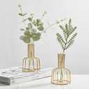 2 Pcs Gold Flower Vase with Metal Frame, Clear Glass Test Tube Vases Decorative, Small Bud Vases Gifts use for Wedding Decoration Table Flower Decoration Interior Living Room