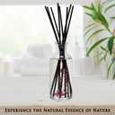 Urban Naturals Amber & Lavender Reed Diffuser Scented Sticks Set | (Awaken + Renew) Mind & Body Aromatherapy Collection | Essential Oil Botanical Diffusing Room Scent