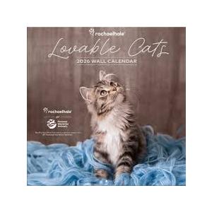 Lovable Cats 2026 Wall Calendar