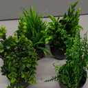 Der Rose Fake Plants 4 Packs Artificial Plants Small Faux Plants Black Bathroom Accessories for Bathroom Home Office Desk Decor Indoor (Green)