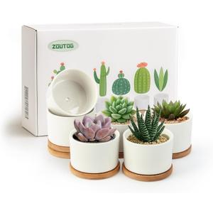 ZOUTOG Succulent Pots 3.1 Inch,6 Pack Succulent Planters,Small Pots for Plants with Drainage and Tray,White Ceramic Flower Planters for Indoor Plants,Home,Office,Desk
