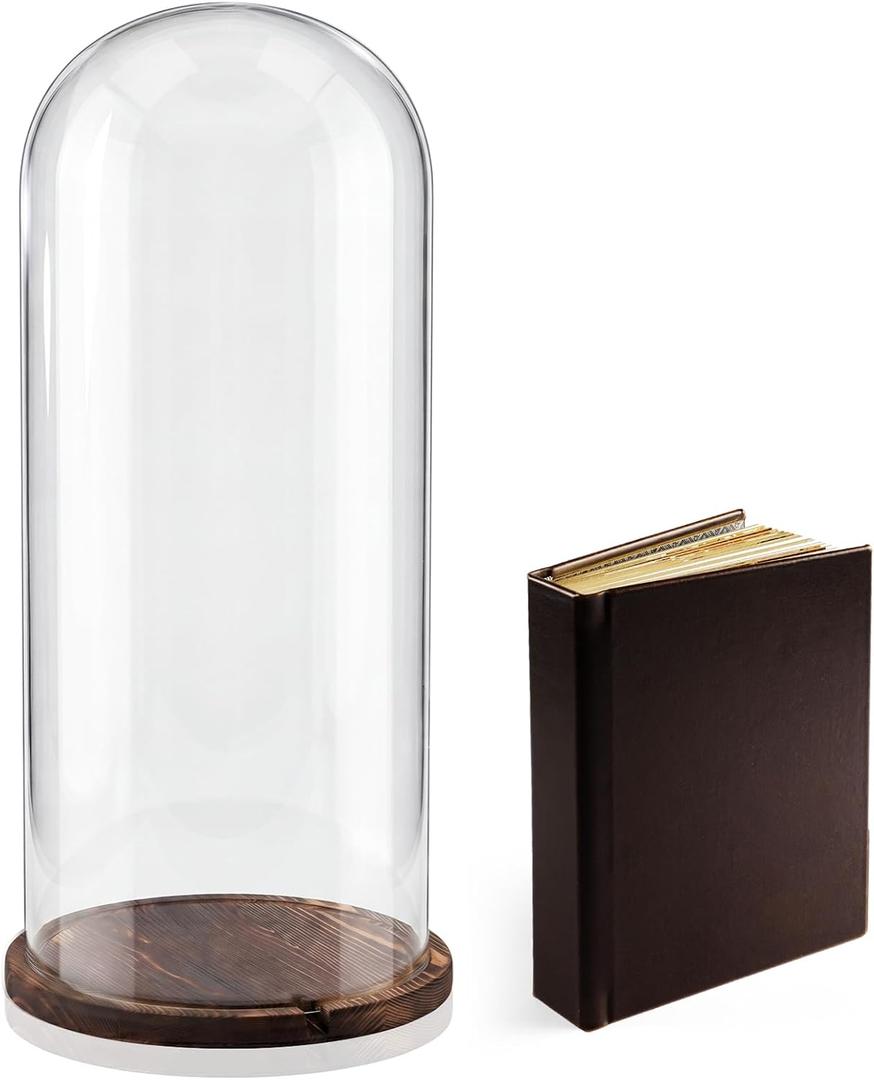22'' × 8.66'' Glass Dome Cloche Display with Wood Base, Clear Display Jar