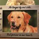 NewLifeLandia Pet Memorial Picture Frame Keepsake for Dog or Cat, Perfect Loss of Pet Gift for Remembrance and Healing