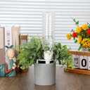 EBOOT 4pcs Large Self-Watering Spikes 6 Inch Plant Automatic Watering System Vacation Plant Irrigation Devices Automatic Irrigation Spikes for Indoor Outdoor Plants Home Office Balcony Planters