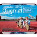 Ocean Spray Cranberry Cocktail Juice Drink, (Pack of 6) 10 Ounce, 60 Fl Oz (EXP 11/13/25)