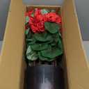 Juxdp 18" Artificial Geraniums Topiary - 2 Set for Front Porch Decor,Faux Silk Flowers Bushes UV Resistant Potted Plants for Outdoor Indoor Door Offices Garden Farmhouse Home Decor (Red)