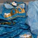 California Costumes Women Arabian Folk Hero Adult Costume (Small, Turquoise)