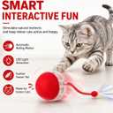 Interactive Cat Toy Ball with LED Lights, USB-C Rechargeable Automatic Cat Toy with Feather Tail, Smart Exercise Toy for Indoor Cats & Kittens, Upgraded Version