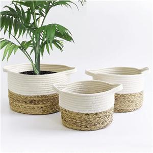 Oval Water Hyacinth Basket 3Pcs
