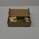Floroom Ranunculus Artificial Flowers 18 Pcs Champagne Faux Silk Mini Ranunculus Bulk Fake Wedding Filler Flowers for DIY Cream Bouquets, Centerpieces, Bridal Shower Decorations & Arrangements