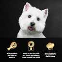 Cesar Home Delights Adult Wet Dog Food, Pot Roast with Spring Vegetables, Beef Stew, Turkey, Green Beans, & Potatoes, and Hearty Chicken & Noodle Variety Pack, 3.5 oz. (24 Count, Pack of 1)