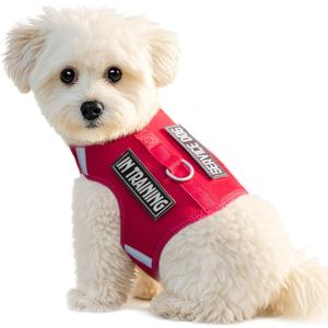 Dog Harness for Puppy Adjustable Reflective Easy Put On Soft Mesh Vest for Small Dogs with 2 Patches (Burgundy Red,S)