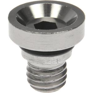 Dorman 712-X95H Wheel Nut Cap, Grey Aluminum, 20 Pack
