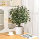2 x 25" Tall Artificial Olive Topiary Ball Tree Set of 2 Pack, Olive Boxwood Topiary Ball Potted Bushes UV Resistant Potted Plants for Indoor Outdoor Home Garden