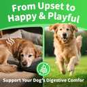 Dog Probiotics & Digestive Enzymes  Pumpkin Fiber Chews for Gut Health, Diarrhea & Upset Stomach Relief, Gas & Stool Support, Beef Flavor Soft Chews  90 Count