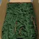 4 Pack Christmas Norfolk Pine Garlands 9FT, Real Touch Artificial Greenery Garland  Full Evergreen Pine Garland for Mantle, Fireplace, Table, Wall, Stairs & Outdoor Holiday Dcor