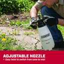Chapin 10031 Handheld Pump Sprayer, 68oz, Multi‑Purpose, Lawn & Garden, Translucent Poly Tank, Adjustable Brass Nozzle, Thumb‑Trigger Lock & in‑Tank Filter for Fertilizer, Weed & Pest Applications
