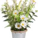 Artificial Flowers Potted, 12.2' Small Flower Arrangement with White Daisy Lavender in Metal Pot, Fake Floral Centerpieces for Tables Spring Summer All Season Home Indoor Decorations