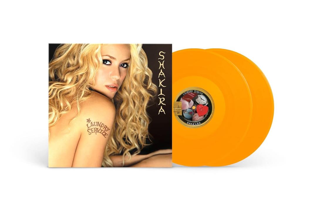 Laundry Service Vinyl
