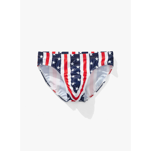 AIMPACT Mens Swim Briefs Sexy Swimsuit Bikini Swimwear Quick Dry Bathing Suit Men Stripe Swimming Birefs (2XL)