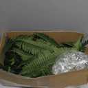 Coreland 35" Artificial Boston Ferns Outdoor Large, 2 Pack Fake Fern Plants with 60 Fronds Each, UV Resistant Faux Fern Bushes for Porch Planters Patio Garden Front Door Home Decor