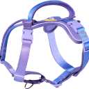 DF Freedom No Pull Martingale Dog Harness, Gentle Control for No Choking, Front Clip Harness with Reflective, Adjustable & Padded Handle for Easy Walking & Training, Rainbow, 3/4", Chest 20"-26.8"