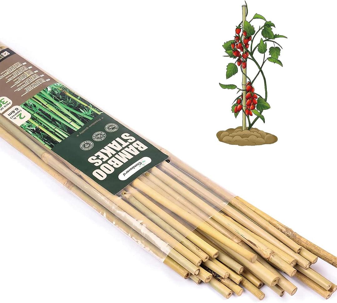 Cambaverd Bamboo Sticks for Plants 2 Feet Bamboo Stakes for Indoor Gardening Plant Stakes Supports Potted Plants Mini Trees Garden Stakes - Pack of 30 Bamboo Poles