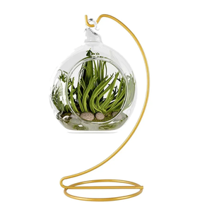 Ornament Display Stand, Iron Pothook Stand for Hanging Glass Globe Air Plant Terrarium, Witch Ball, Christmas Ornament and Home Wedding Decoration (1, 9x4" Gold)