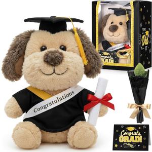 Hollowfly Graduation Dog Gifts Set Include Graduation Dog of 2026 Stuffed Animal with Cap and Gown, Artificial Flower, Graduate Gift Box with Window and Greeting Card for Him or Her(Black, Gold)