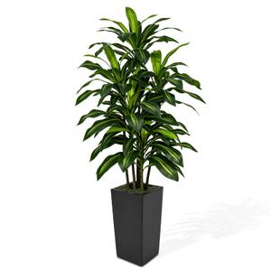 CyanGrove 5FT Artificial Dracaena Tree with Tall Black Planter - Large Fake Tree with Lifelike Leaves - Tall Faux Floor Plants for Indoor Outdoor, Artificial Trees Indoor for Home Office Room Decor