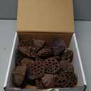 Dried Lotus Pods Pack of 25 Pods for Floral Arrangement and Home Decor,Natural Seed Heads for Vase Fillers, Dried Flower Centerpieces