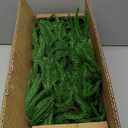 9FT Christmas Garlands Norfolk Pine Garland Real Touch Artificial Faux Greenery Garland for Holiday Indoor Outdoor Decor