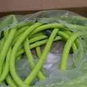 Flexzilla Garden Hose 5/8 in. x 50 ft., Lightweight All-Weather Water Hose, Durable and Flexible, Leak-Free Connections