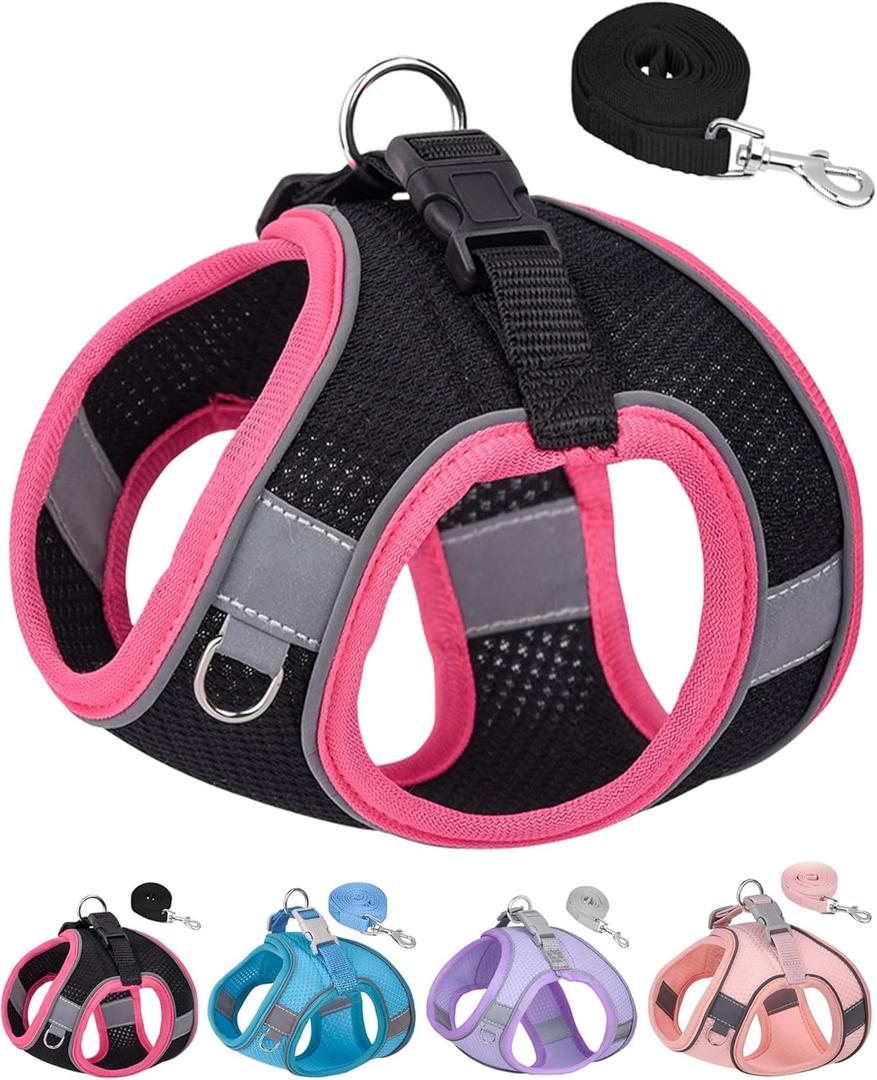 Puppy Harness and Leash Set Training - Dog Vest Harness for Small Medium Dogs (Black, S)