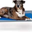 K&H Pet Products Coolin' Pet Cot, Outdoor Cooling Elevated Dog Cot for Large Dogs, Raised Bed with Cool-Core Center, Portable Pet Platform with Heavy-Duty Metal Frame - Large Gray/Blue