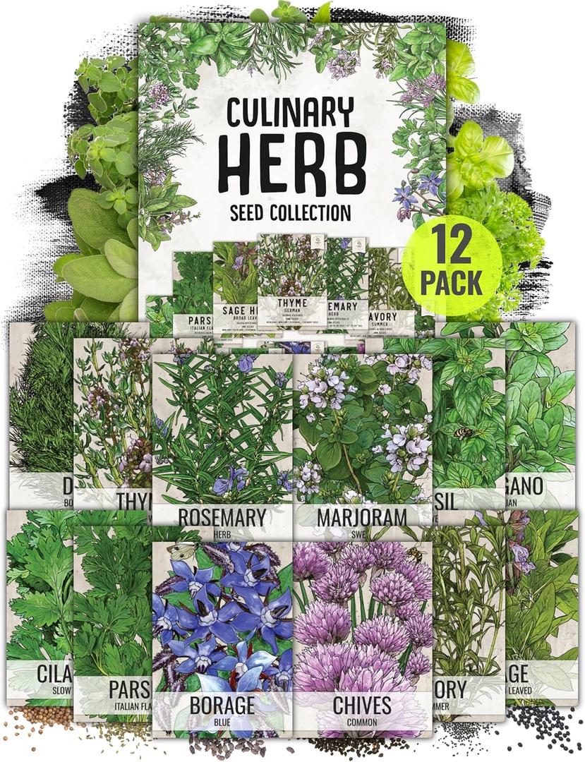 Seed Needs Herb Seeds Variety Pack Culinary Herb Collection (12 Individual Packets for Planting Indoors or Outdoors) Grow Your Own Herb Garden - Heirloom, Non-GMO