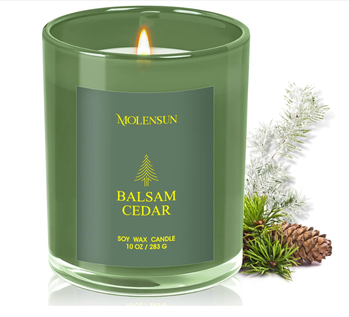 Apple Cider Candle, 10oz Soy Scented Candle for Home, Christmas Birthday & Holiday Gifts for Women & Men, Long Lasting 50+ Hour Clean Non-Toxic Burn, Elegant Winter & Christmas Festive Home Decor