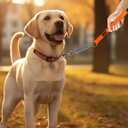 Strong Short Dog Leash Heavy Duty, Padded Handle for Traffic Control, Reflective Leash for Medium and Large Dogs Walking Training,Suitable for DIY (Orang)