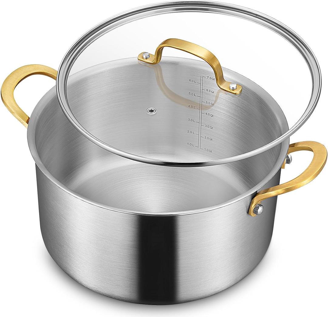 BEZIA 6 Quart Fully-Clad 3-Ply Stainless Steel Stockpot, Soup Pot with Lid, Even Heat Distribution, Cooking Pot with Sturdy Handles, Compatible with All Cooktops, Perfect for Soups & Stews, Silver