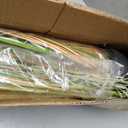 Jexine 2 Pcs 3 ft Tall Artificial Grass Plant Potted Artificial Greenery Floor Plants Faux Pampas Grass Tall in Pot for Housewarming Gift House Garden Bathroom Lobby Outdoor Decoration