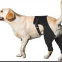 Dog Recovery Sleeve Rear Leg for Stop Licking, Recovery Dog Pants for Wound ACL TPLO After Surgery,Cone Alternative Protective Sleeve, Comfortable & Breathable, L