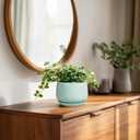 G EPGardening Ceramic Plants Pots - 4 inch Plant Pots Indoor Outdoor, Small Succulent Planter with Drainage Hole & Tray, Modern Flower Pot, Round Decorative Planters, Office Decor, Garden Gift, Green